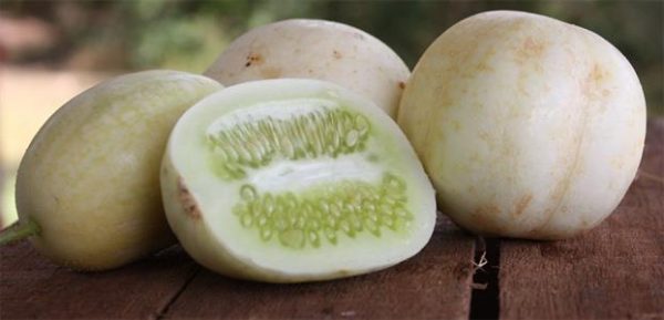 Crystal Apple Cucumber Seeds